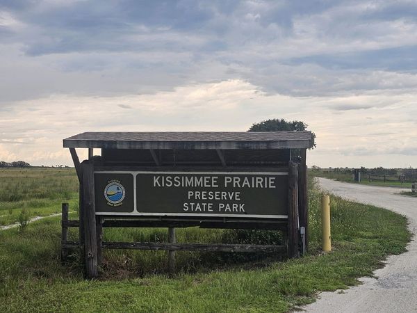 Kilpatrick Hammock Kissimmee Prairie Preserve in Florida | Top Horse Trails