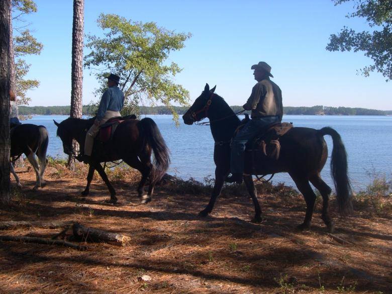 Bussey Point Horse Campsite | Top Horse Trails