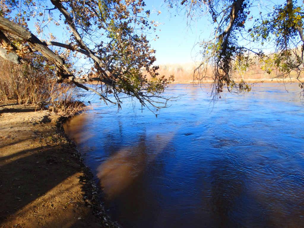 San Antonio Riverine Park | Equine Camping at Top Horse Trails