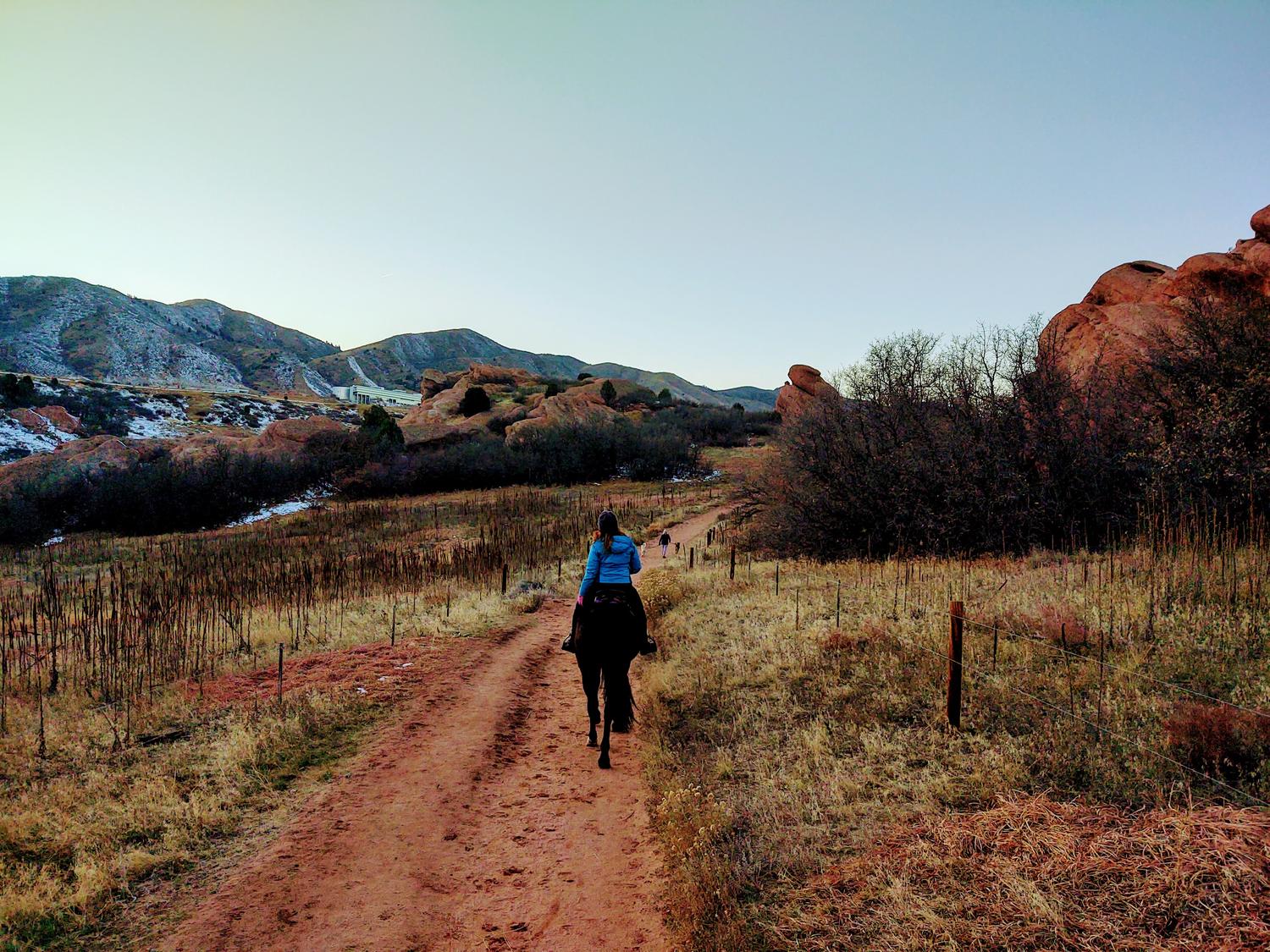 6 Winter Horse Trails for Equestrians Near Denver