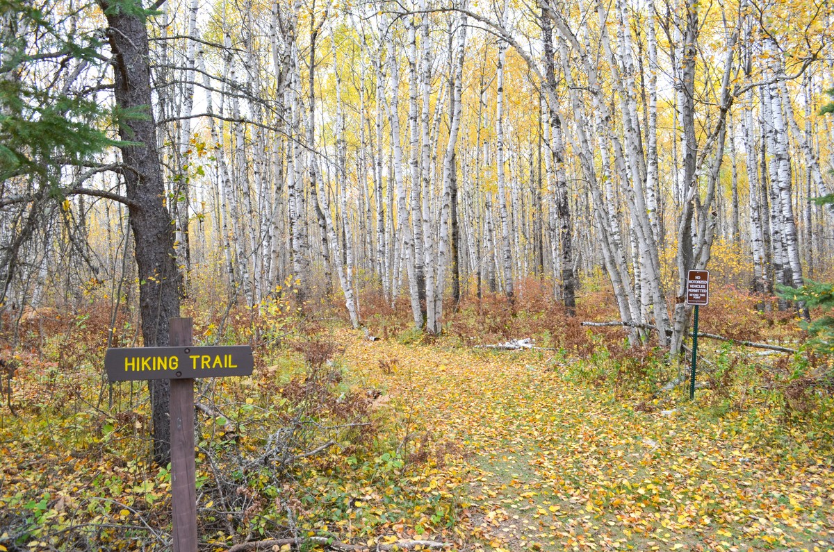 Stony Brook Horse Camp in Minessota | Top Horse Trails