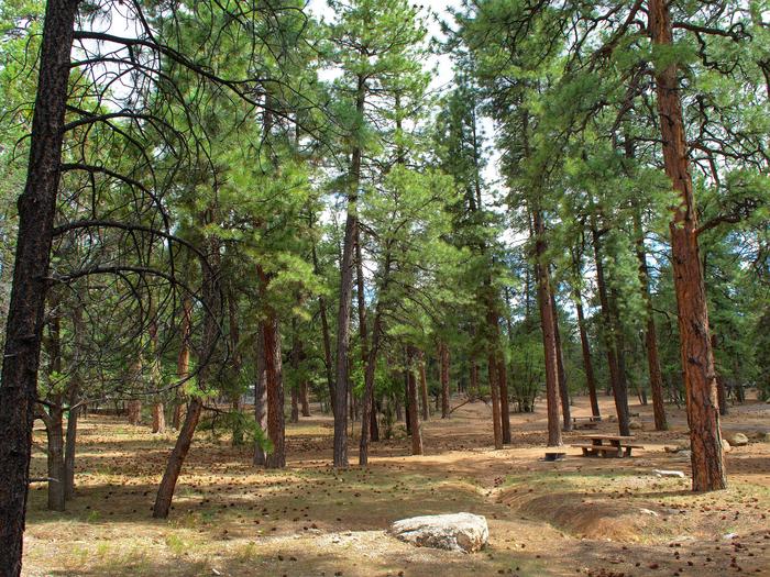 Mather Horse Camp in Arizona | Top Horse Trails